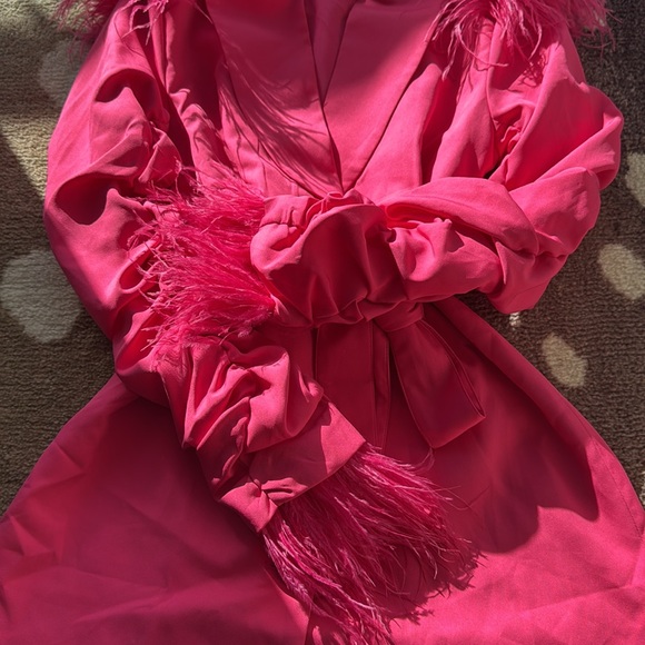 Pink Blazer Dress with Feathers - Picture 4 of 10